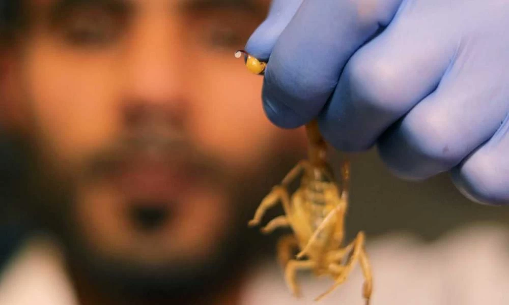 Ο γητευτής των σκορπιών: Παράτησε την αρχαιολογία για χάρη τους